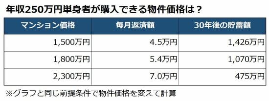 年収250万円シミュレーション